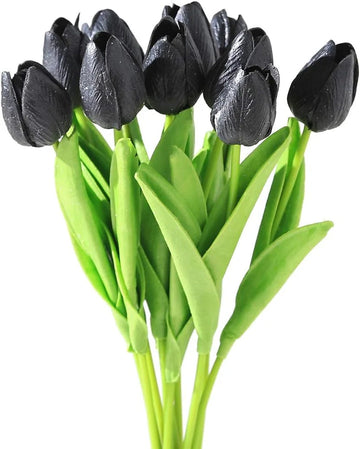 Black Tulip Flower Seeds for Planting â€“ Heirloom, Non-GMO, Unique Dark Blooms