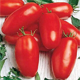Red Banana Tomato Seeds for Planting - heirloom & Non GMO Seeds