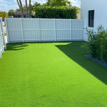 All-Season Lawn Grass Seeds – Multi-Color Lawn and Garden Mix