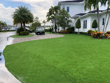 Thick, Healthy Turf for Front and Backyards