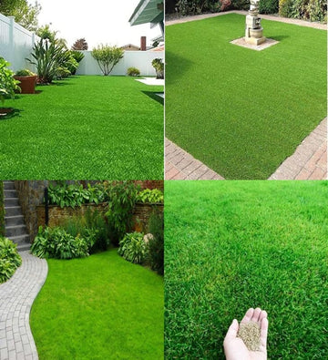 Sun & Shade Blend for All Garden Types