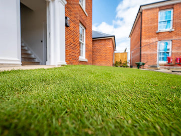 Thick Lawn Coverage for Sports & Recreation