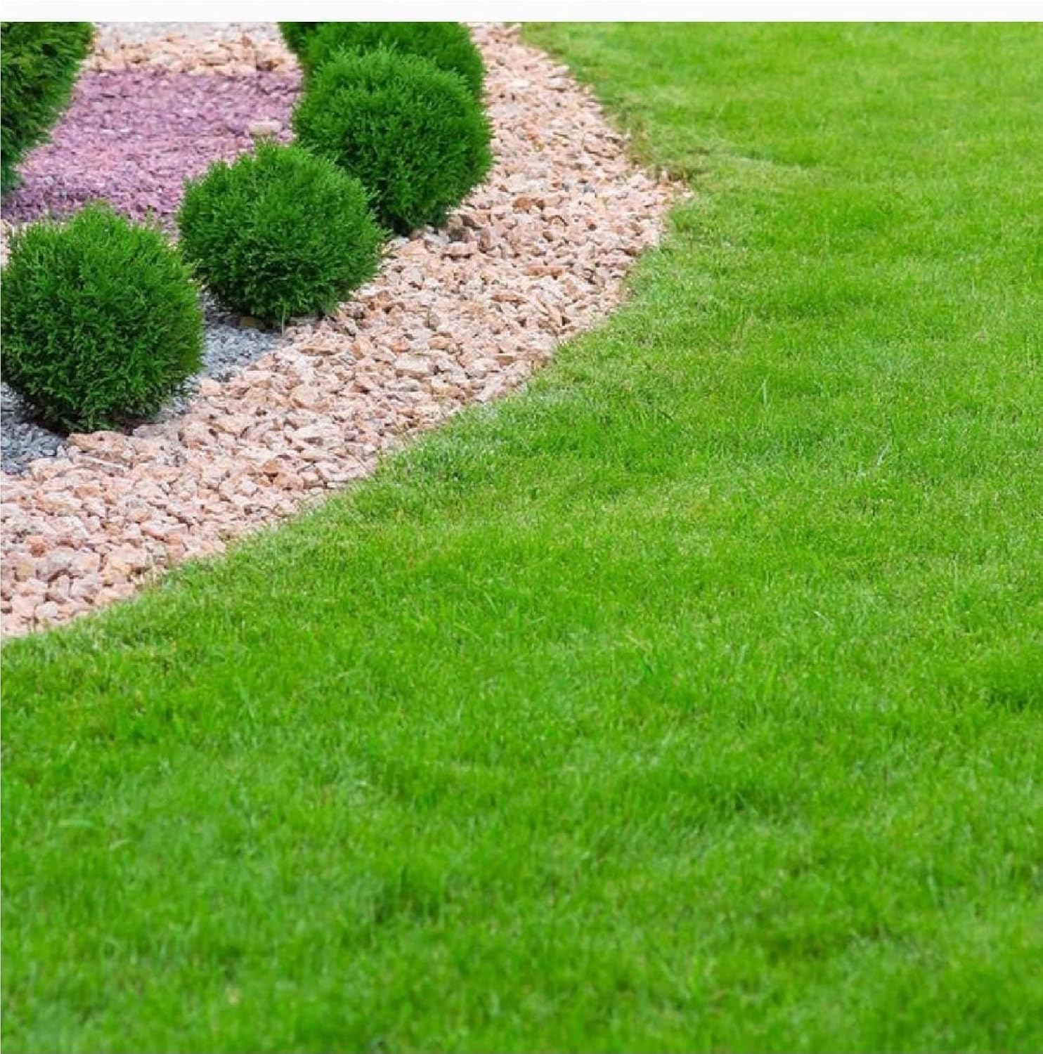 Sun-Tolerant Grass Seeds