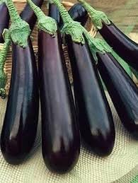 Orient Eggplant Seeds for Planting, 100 Pcs pcs