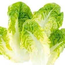 Butterhead Lettuce Seeds for Planting, 100 Pcs pcs