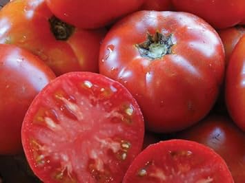 Cosmonaut Volkov Tomato Seeds for Planting heirloom & Non-GMO Seeds