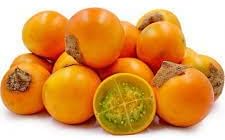 Solanum Quitoense Fruit Seeds for Cultivating Exotic and Tangy Fruits 100 Pcs pcs
