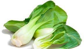 Bok Choy Vegetable Seeds for Planting, heirloom & Non-GMO Seeds