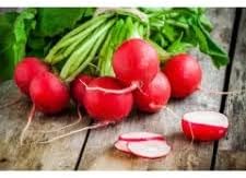 German Giant Radish Vegetable Seeds for Planting - 100 Pcs pcs