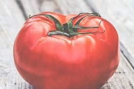 Big Tomato Seeds for Planting, Red, 100 Pcs pcs