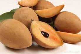 Sapodilla Fruit Seeds for Planting - Homegrown Tropical Sweetness, Heirloom Seeds, GMO Free