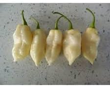 White Ghost Pepper Seeds for Planting, heirloom & Non-GMO Seeds