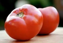 Abe Lincoln Heirloom Tomato Vegetable Seeds for Planting - 100 Pcs pcs