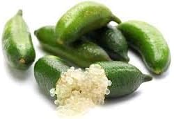 Finger Lime Fruit Seeds for Planting - Green, Tangy Variety for Unique Citrus Flavors