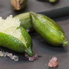 100 Pcspcs Lime Fruit Seeds - High Yield for Growing Fresh Limes 100 Pcs pcs
