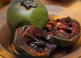 Diospyros Digyna Chocolate Pudding Fruit Seeds, Sweet and Exotic Delight 100 Pcs pcs
