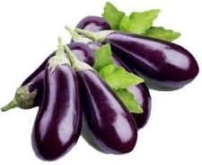 Eggplant Seeds for Planting, Dark Purple, 100 Pcs pcs