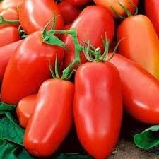 San Marzano Tomato Seeds for Planting heirloom & Non-GMO Seeds