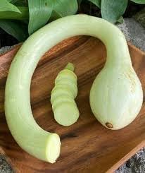 Trombocino Vegetable Seeds for Planting, 100 Pcs pcs