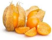 Gooseberries Fruit Seeds for Growing Tart and Flavorful Berries 100 Pcs pcs