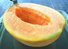 Yubari Melon Seeds for Growing Rare and Sweet Melon Varieties NON GMO Seeds