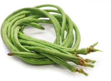Yard Bean Seeds for Planting - 100 Pcs pcs
