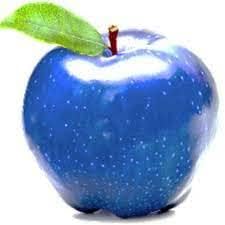 Blue apple fruit seeds for planting