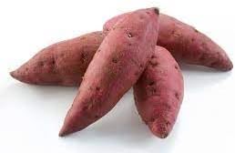 Sweet Potato Ipomoea batatas seeds for garden planting