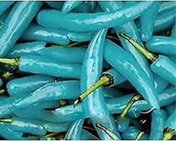 Turquoise Pepper Seeds for Planting, 100 Pcs pcs