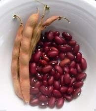 Red Pole Kidney Bean Seeds for Planting, heirloom & Non-GMO Seeds