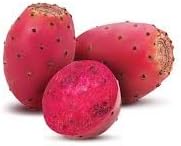 Prickly pear Opuntia ficus-indica seeds for hardy cactus garden