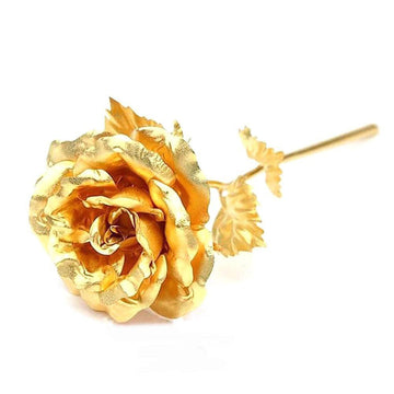 Gold Rose Flower Seeds for Planting - Non-GMO Heirloom Garden Seeds for Growing Beautiful Flowers
