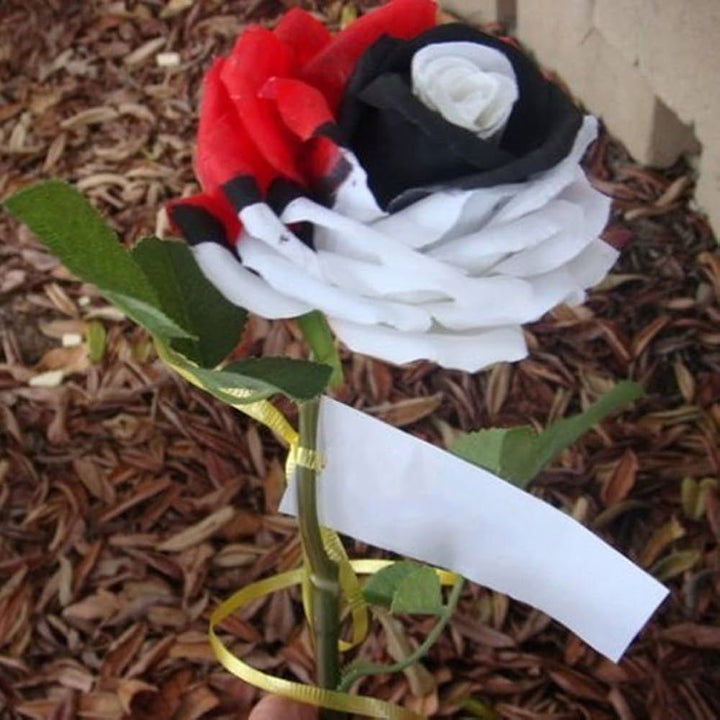 Splendid Rare Red, White, and Black Rose Flower Seeds for Planting – Unique, Non-GMO Seeds