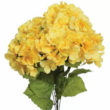 Heirloom Yellow Hydrangea Flower Seeds, Non-GMO Bright Blooms for Planting