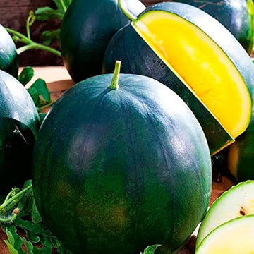 Heirloom Non-GMO Yellow Yanosik Fruit Seeds for Juicy and Tropical Home Garden Planting