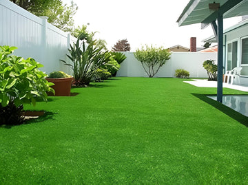Colored Lawn Grass Seeds – Decorative Mix for Gardens & Lawns