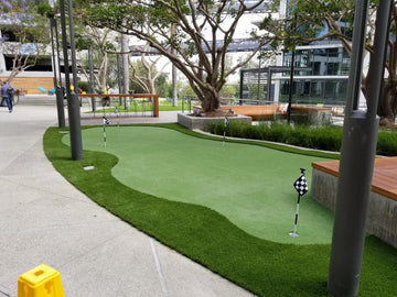 Thick, Healthy Turf for Front and Backyards