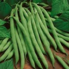 Beans Vegetable Seeds for Planting - 100 Pcs pcs
