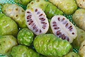 Fresh NONI Fruit Seeds for Gardening - Organic and Easy to Grow 100 Pcs pcs