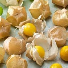 Tomatillo Physalis philadelphica seeds for garden planting
