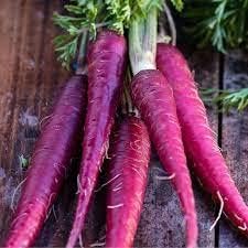 Purple Carrot Seeds for Planting - 100 Pcs pcs