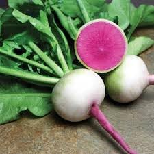 Radish Starburst Fruit Seed Pack for Vibrant, Tasty Radishes 100 Pcs pcs