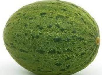 Green HAMI Melon Fruit Seeds for Planting - heirloom and Non-GMO garden seeds