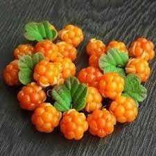 Orange Cloudberry Fruit Seeds for Planting - Rare & Sweet Berries in Your Garden, Heirloom Seeds