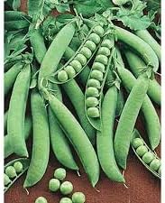 Snap Pea Vegetable Seeds for Planting - 100 Pcs pcs