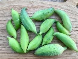 Cyclanthera Vegetable Seeds for Planting - 100 Pcs pcs