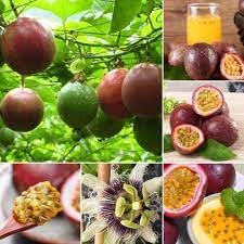 Passion Fruit Seeds for Planting - Growing Exotic, Sweet Fruits at Home Garden, GMO Free