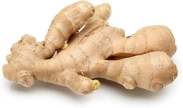 Ginger Seeds for Planting - 100 Pcs pcs