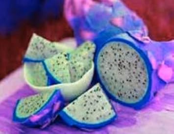 Pitaya Fruit Seeds Easy to Grow Blue 100 Pcs pcs