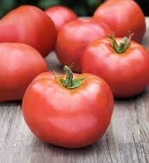 Atkinson Tomato Seeds for Planting - 100 Pcs pcs